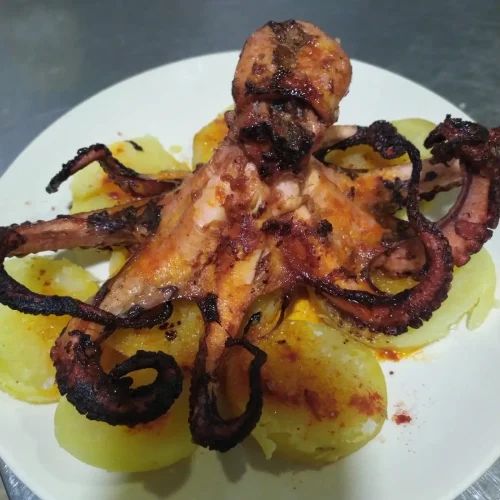 pulpo